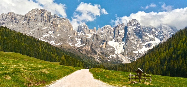 entry_image