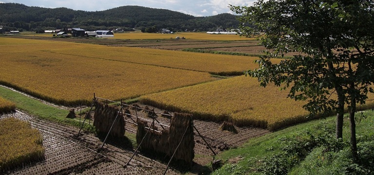 entry_image